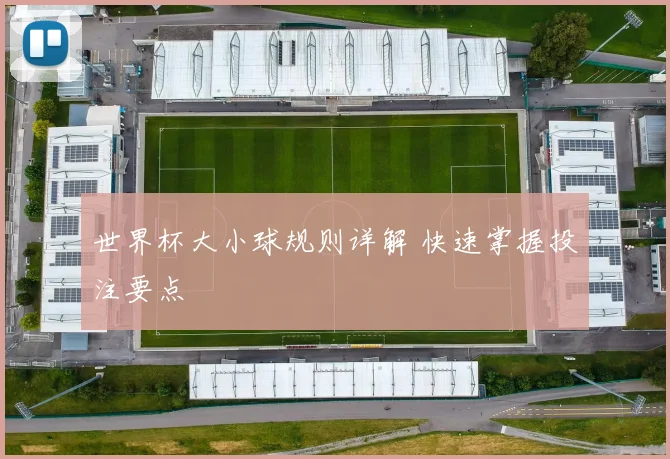 世界杯大小球规则详解 快速掌握投注要点