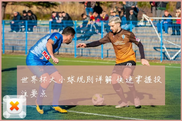 世界杯大小球规则详解 快速掌握投注要点