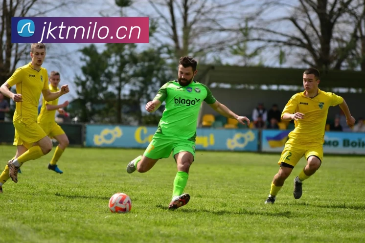 多媒体互动体验